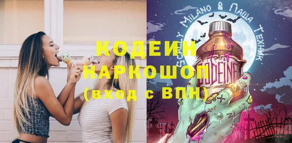 шишки Алексин
